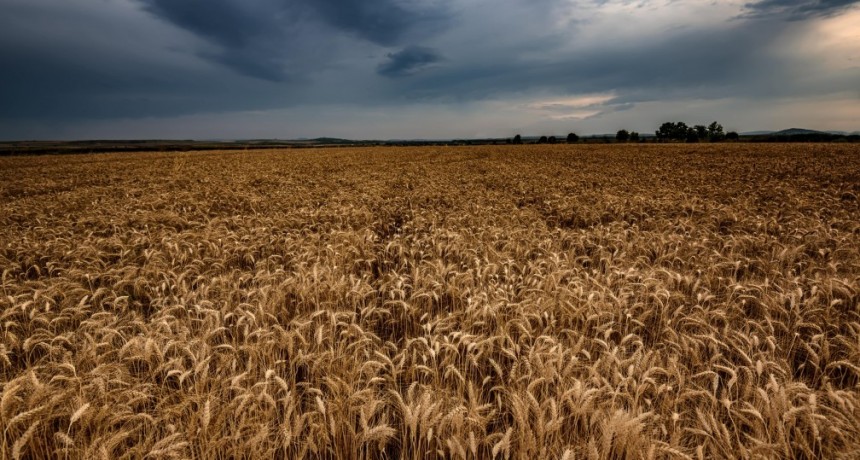 El a&ntilde;o termina con un 20 % menos de lluvias que el promedio a pesar del impacto de El Ni&ntilde;o