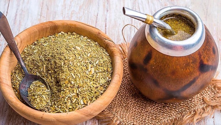 Desarrollan nuevas variedades de yerba mate con mayor rendimiento y adaptación