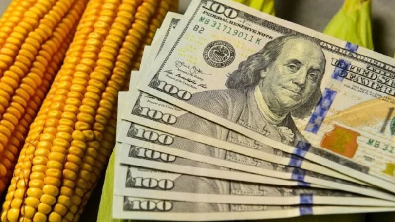 Dólar y retenciones: tras el default de tres compañías, el campo endurece reclamos