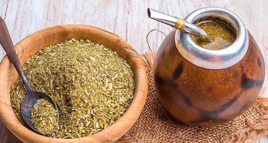 Desarrollan nuevas variedades de yerba mate con mayor rendimiento y adaptaci&oacute;n