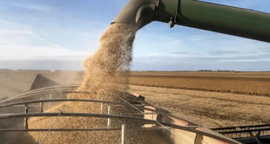 Hab&iacute;a soja: agroexportadores liquidaron US$ 1.999 millones en noviembre