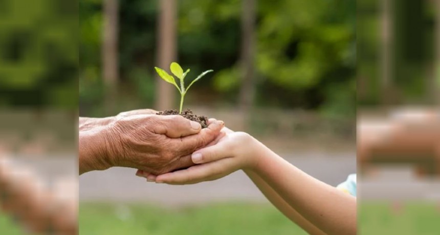 FERTILIZAR AC se suma al Encuentro por el D&iacute;a Mundial del Suelo 2024