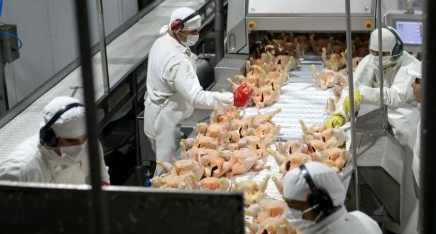 La principal av&iacute;cola del pa&iacute;s se declar&oacute; en crisis y busca reducir salarios o despedir 700 empleados