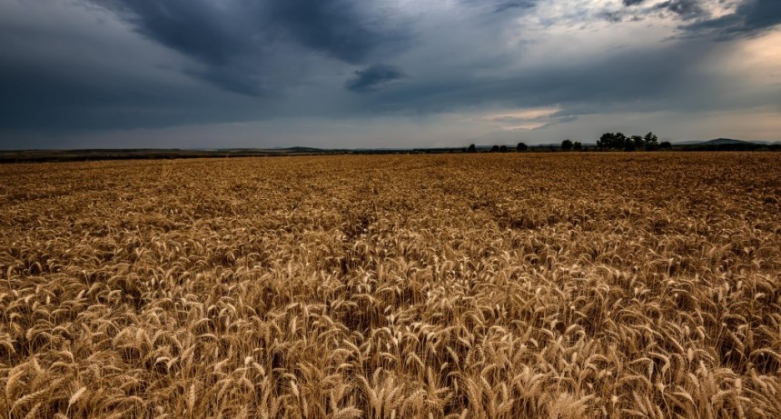 El agro ante un verano caluroso, lluvias normales y La Ni&ntilde;a en el horizonte