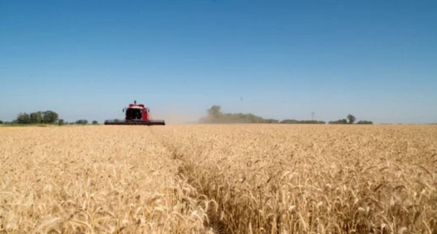 Las exportaciones agroindustriales crecieron un 51% en volumen en lo que va del a&ntilde;o