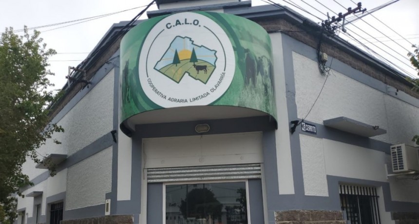 Gran a&ntilde;o de trabajo para la Cooperativa Agraria Limitada de Olavarr&iacute;a: &ldquo;Podemos salir y dar valor agregado&rdquo;