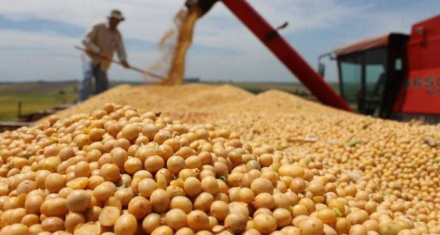 S&oacute;lo se vendio el 68% de la cosecha de soja