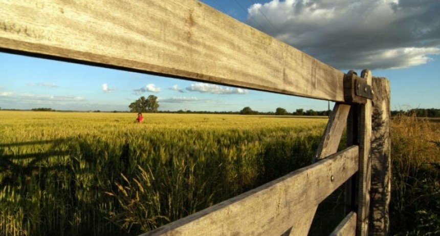 La compraventa de campos cierra 2024 estable y con grandes expectativas para 2025