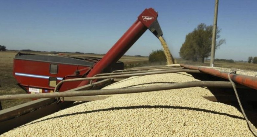 Commodities: los precios avanzaron un 4,2% en noviembre por impulso de hidrocarburos y alimentos