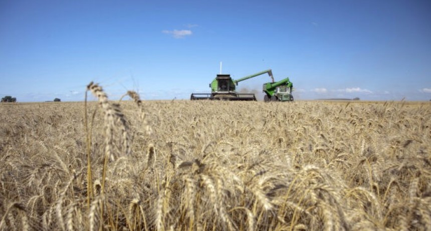Tres Arroyos ser&aacute; sede del 1&ordm; Simposio de la Cadena de Trigo 