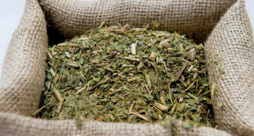 Las ventas de yerba mate superaron los 279 millones de kilos entre enero y noviembre