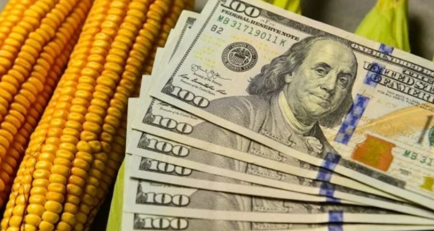 D&oacute;lar y retenciones: tras el default de tres compa&ntilde;&iacute;as, el campo endurece reclamos