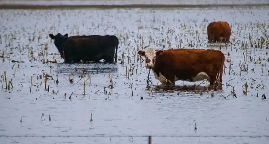 Comenzó la prórroga de una semana para tramitar la emergencia agropecuaria